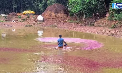 मत्स्य पालकों और किसानों को मछलीपालन हेतु 7 करोड़ 25 लाख से अधिक मत्स्य बीज उपलब्ध मत्स्य पालकों और किसानों को मछलीपालन हेतु 7 करोड़ 25 लाख से अधिक मत्स्य बीज उपलब्ध