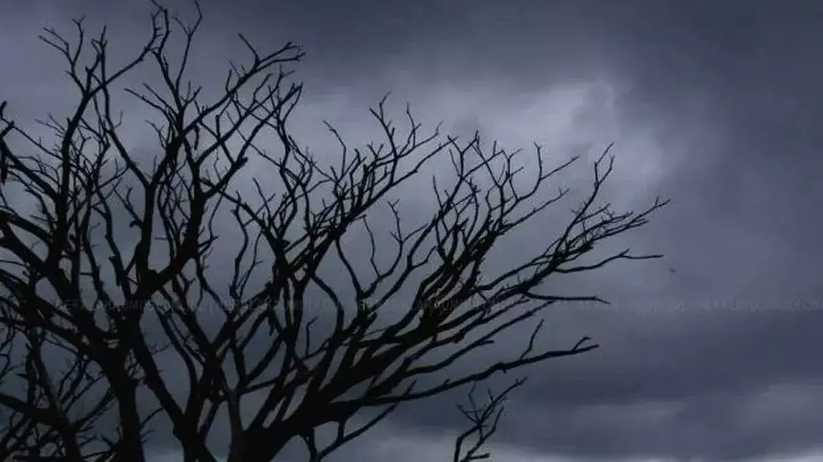 kerala: दो जिलों में आने वाले घंटों में तेज हवाएं, बारिश, बड़ी लहरें उठने की आशंका kerala: दो जिलों में आने वाले घंटों में तेज हवाएं, बारिश, बड़ी लहरें उठने की आशंका