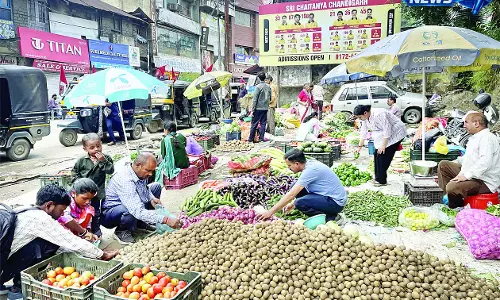 सोलन में लहसुन 100 रुपए किलो बिका सोलन में लहसुन 100 रुपए किलो बिका