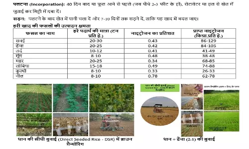 अधिक वर्षा की स्थिति में किसान लेही पद्दति से धान की करें बुआई अधिक वर्षा की स्थिति में किसान लेही पद्दति से धान की करें बुआई