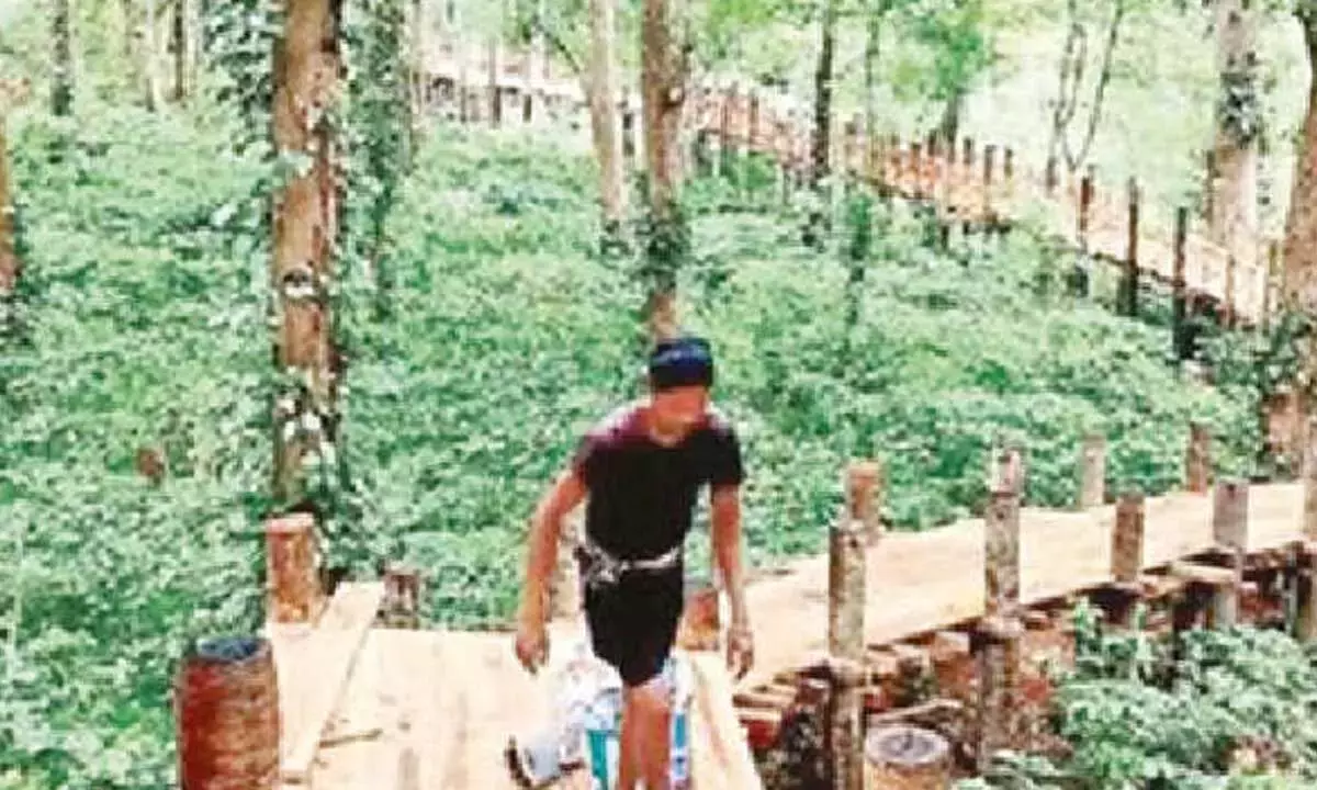 मारेडुमिली कॉफी एस्टेट्स को टूरिज्म में बड़ा बदलाव मिलेगा मारेडुमिली कॉफी एस्टेट्स को टूरिज्म में बड़ा बदलाव मिलेगा