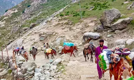 Jammu: अमरनाथ यात्रा के टोकनों की मांग बढ़ी, 9 जुलाई तक सभी वितरित Jammu: अमरनाथ यात्रा के टोकनों की मांग बढ़ी, 9 जुलाई तक सभी वितरित