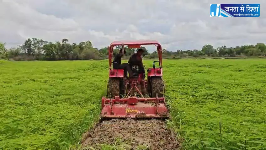 हरी खाद से संवर रही खेतों की सेहत, प्राकृतिक खेती की मिसाल बने किसान नरेंद्र सिंह हरी खाद से संवर रही खेतों की सेहत, प्राकृतिक खेती की मिसाल बने किसान नरेंद्र सिंह