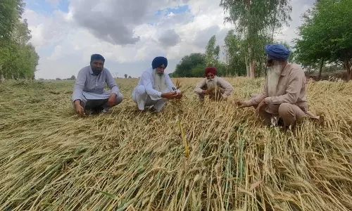 हरियाणा 6,600 गांवों में ‘किसान कल्याण रथ यात्रा’ शुरू करेगा हरियाणा 6,600 गांवों में ‘किसान कल्याण रथ यात्रा’ शुरू करेगा