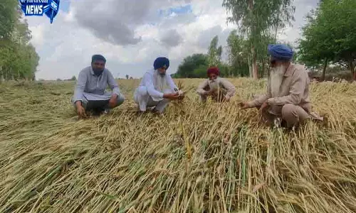 Haryana में किसान कल्याण रथ यात्रा शुरू, 6600 गांव होंगे कवर Haryana में किसान कल्याण रथ यात्रा शुरू, 6600 गांव होंगे कवर