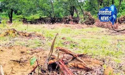 Odisha तीरंदाजी अकादमी परियोजना पर पेड़ कटाई विवाद Odisha तीरंदाजी अकादमी परियोजना पर पेड़ कटाई विवाद
