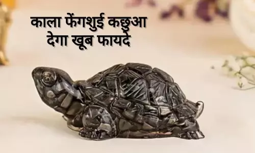 Feng Shui  कछुआ रखने से मिलते हैं ये 3 बड़े लाभ