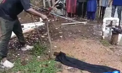 जिला अस्पताल की कैंटीन के पास निकला 5 फीट लंबा कोबरा जिला अस्पताल की कैंटीन के पास निकला 5 फीट लंबा कोबरा