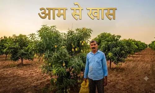 कभी रसोइया का काम करने वाले वासुदेव अब बने आम की खेती की मिसाल कभी रसोइया का काम करने वाले वासुदेव अब बने आम की खेती की मिसाल