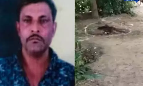 आसिफ विक्की की कहानी, क्यों थी पुलिस को तलाश? आसिफ विक्की की कहानी, क्यों थी पुलिस को तलाश?