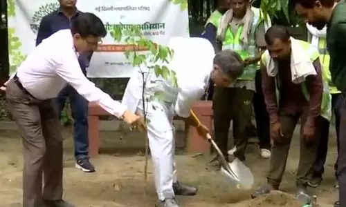दिल्ली में 70 लाख पेड़ लगाएगी सरकार, PM मोदी की अपील का असर दिल्ली में 70 लाख पेड़ लगाएगी सरकार, PM मोदी की अपील का असर