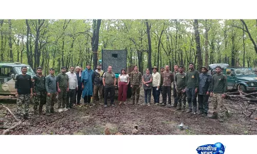 महाराष्ट्र: TUI-21 नाम की बाघिन को बचाया गया और पेंच टाइगर रिज़र्व में सुरक्षित छोड़ा गया