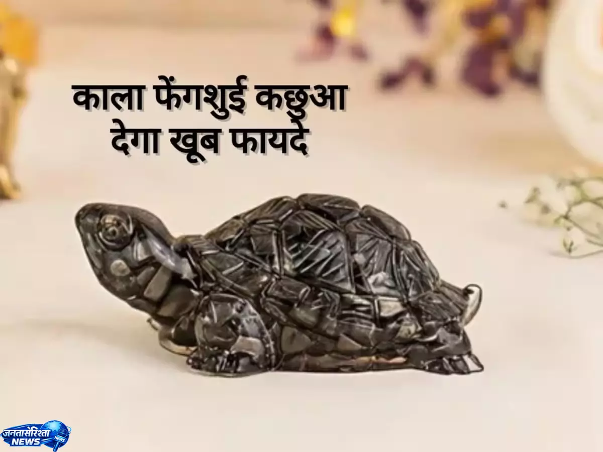 Feng Shui कछुआ रखने से मिलते हैं ये 3 बड़े लाभ Feng Shui कछुआ रखने से मिलते हैं ये 3 बड़े लाभ