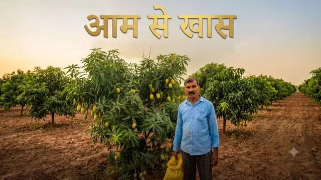 कभी रसोइया का काम करने वाले वासुदेव अब बने आम की खेती की मिसाल कभी रसोइया का काम करने वाले वासुदेव अब बने आम की खेती की मिसाल