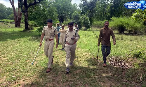 MP : वन्यजीव सुरक्षा के लिए अभयारण्यों में विशेष अभियान