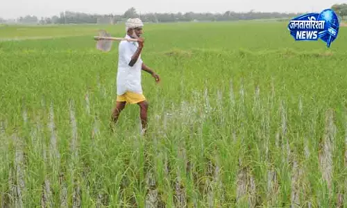 Sirsa किसानों की सरकार से बड़ी मांग Sirsa किसानों की सरकार से बड़ी मांग