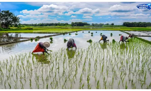मानसून ने पकड़ी रफ्तार, बारिश की कमी घटकर 12% हुई; खरीफ सीजन को लेकर बढ़ी उम्मीदें मानसून ने पकड़ी रफ्तार, बारिश की कमी घटकर 12% हुई; खरीफ सीजन को लेकर बढ़ी उम्मीदें