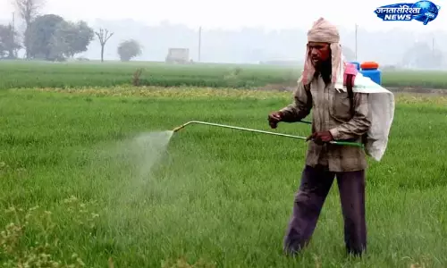 Kerala: खाद संकट से किसान परेशान, धान खेती पर संकट Kerala: खाद संकट से किसान परेशान, धान खेती पर संकट