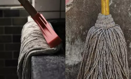 घर की सफाई में बड़ी गलती! पुराना पोछा बन सकता है बैक्टीरिया का अड्डा