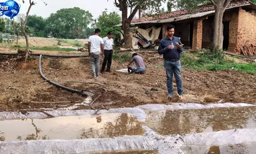 हरी खाद से खेत होंगे उपजाऊ, बढे़गी पैदावार और घटेगी खेती की लागत हरी खाद से खेत होंगे उपजाऊ, बढे़गी पैदावार और घटेगी खेती की लागत