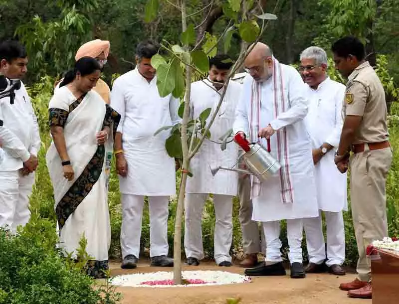 शाह ने Delhi में मिशन 70L वृक्षारोपण अभियान लॉन्च किया शाह ने Delhi में मिशन 70L वृक्षारोपण अभियान लॉन्च किया