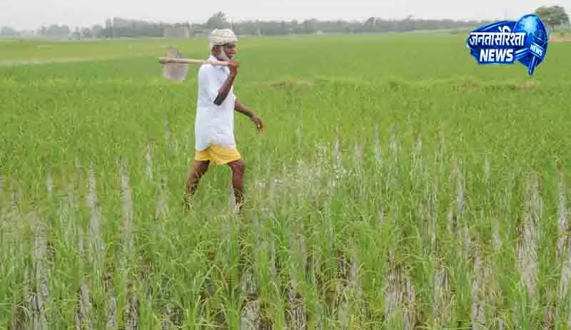 Sirsa किसानों की सरकार से बड़ी मांग Sirsa किसानों की सरकार से बड़ी मांग