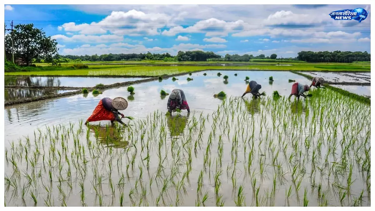 मानसून ने पकड़ी रफ्तार, बारिश की कमी घटकर 12% हुई; खरीफ सीजन को लेकर बढ़ी उम्मीदें मानसून ने पकड़ी रफ्तार, बारिश की कमी घटकर 12% हुई; खरीफ सीजन को लेकर बढ़ी उम्मीदें