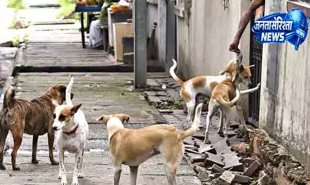 Ganjam में आवारा कुत्तों का हमला, बच्ची घायल Ganjam में आवारा कुत्तों का हमला, बच्ची घायल