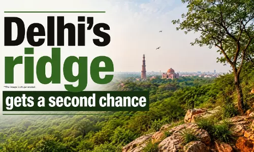 दिल्ली के रिज को दूसरा मौका मिला