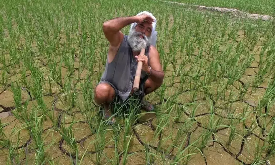 Andhra: अल नीनो के कारण रायलसीमा सूख रहा है, बोरवेल की तलाश तेज़