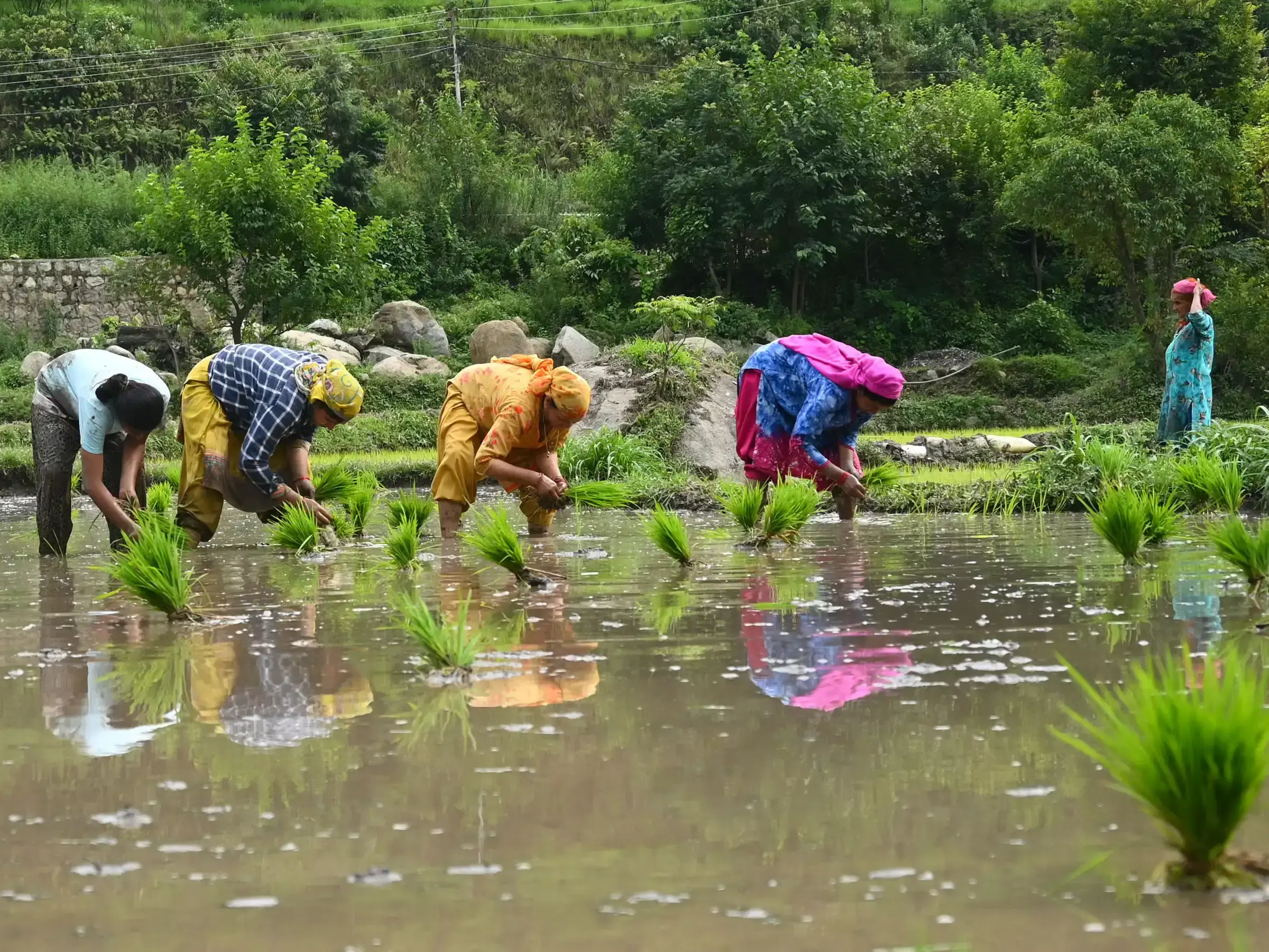 Mandi: मानसून का असर, भूस्खलन से सड़क बंद और ब्यास नदी का जलस्तर बढ़ा