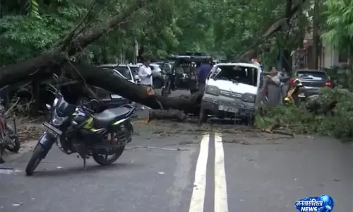 Delhi में बारिश का कहर, रोहिणी में वैन पर गिरा पेड़ Delhi में बारिश का कहर, रोहिणी में वैन पर गिरा पेड़