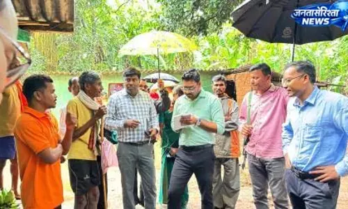 कलेक्टर ने स्कूलपारा मारजूम में केले की उन्नत खेती का किया अवलोकन कलेक्टर ने स्कूलपारा मारजूम में केले की उन्नत खेती का किया अवलोकन