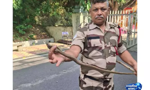 झारखंड में CISF जवान ने रेस्क्यू किए 7 कोबरा सांप झारखंड में CISF जवान ने रेस्क्यू किए 7 कोबरा सांप