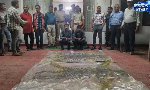 वन विभाग की बड़ी कार्रवाई, रेंजर समेत तीन अधिकारी निलंबित; 7 आरोपी जेल भेजे गए