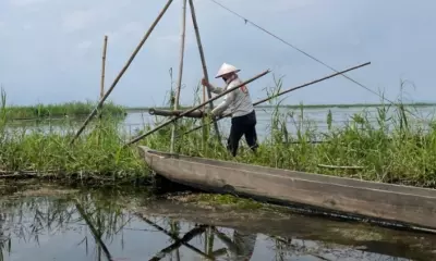 जलवायु परिवर्तन का असर: अध्ययन में लोकटक झील के मछली आवास पर मंडराया खतरा जलवायु परिवर्तन का असर: अध्ययन में लोकटक झील के मछली आवास पर मंडराया खतरा