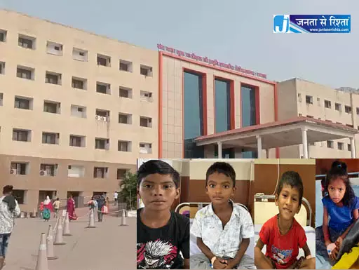 सांप के काटने से 5 बच्चों की हालत नाजुक थी, मेडिकल कॉलेज अस्पताल में बची जान सांप के काटने से 5 बच्चों की हालत नाजुक थी, मेडिकल कॉलेज अस्पताल में बची जान