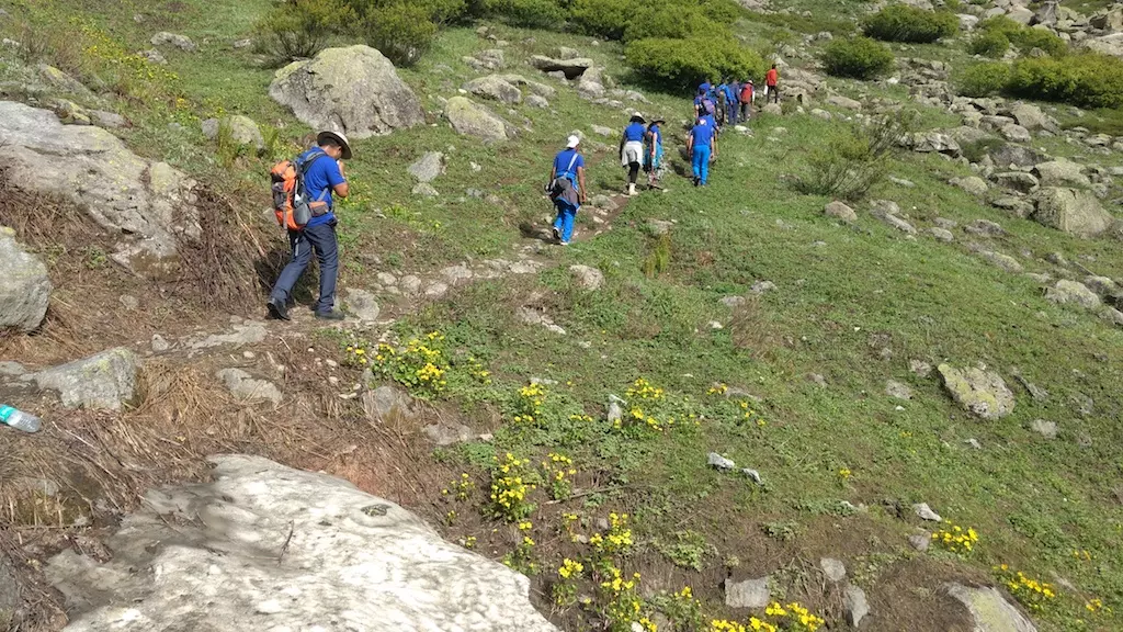 Dharamshala: ट्रेकर्स के लिए नई गाइडलाइन, रजिस्ट्रेशन के बाद ही मिलेगी अनुमति Dharamshala: ट्रेकर्स के लिए नई गाइडलाइन, रजिस्ट्रेशन के बाद ही मिलेगी अनुमति