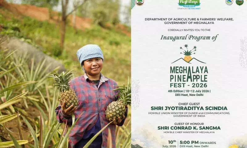 Meghalaya के अनानास का दिल्ली में जलवा: कल से शुरू होगा खास फेस्टिवल