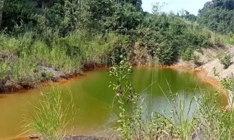 Assam: टिंकूपानी हाथी रिजर्व फॉरेस्ट में अवैध कोयला खनन के नए आरोप सामने आए Assam: टिंकूपानी हाथी रिजर्व फॉरेस्ट में अवैध कोयला खनन के नए आरोप सामने आए