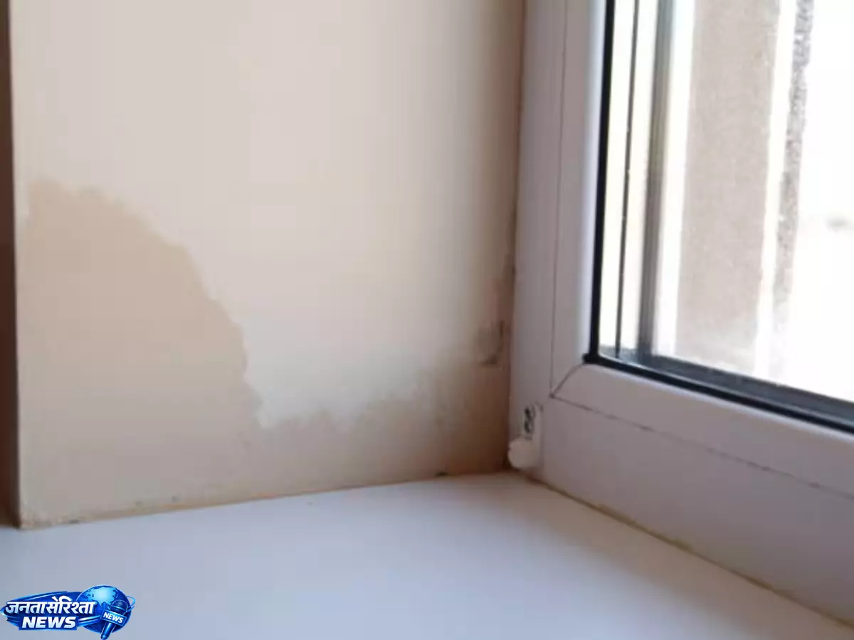 Dampness से खराब हो रहा घर? इन छोटे उपायों से मानसून में बचाएं दीवारें Dampness से खराब हो रहा घर? इन छोटे उपायों से मानसून में बचाएं दीवारें