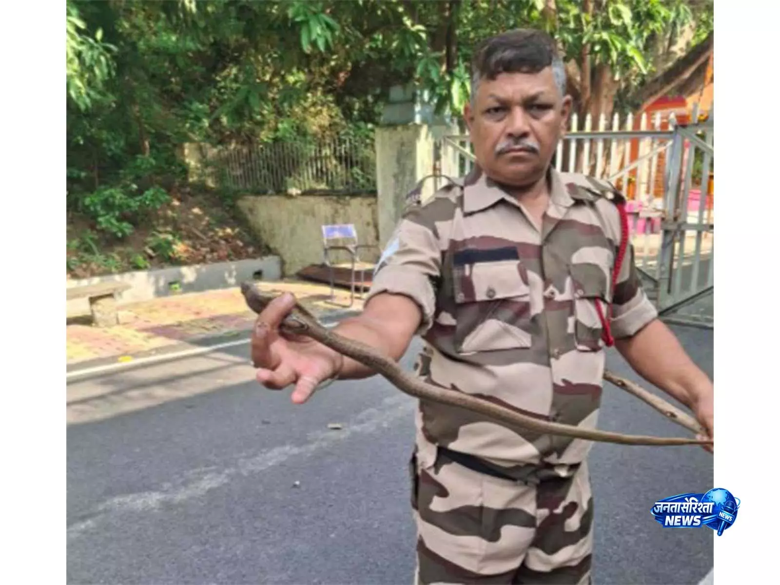 झारखंड में CISF जवान ने रेस्क्यू किए 7 कोबरा सांप झारखंड में CISF जवान ने रेस्क्यू किए 7 कोबरा सांप