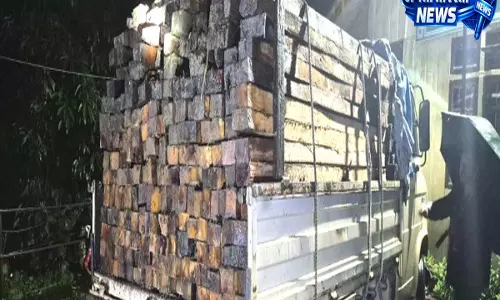 Sikkim: अवैध लकड़ी जब्त, वन विभाग की बड़ी कार्रवाई, ₹4.45 लाख का जुर्माना लगाया Sikkim: अवैध लकड़ी जब्त, वन विभाग की बड़ी कार्रवाई, ₹4.45 लाख का जुर्माना लगाया