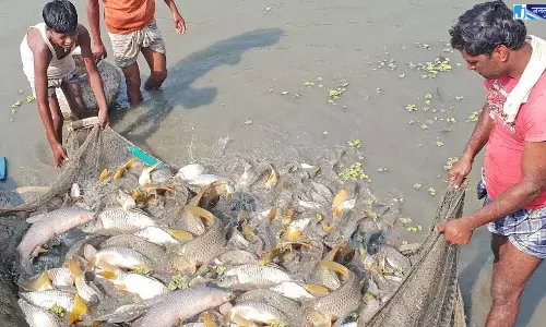 15 अगस्त तक मत्स्याखेट पूर्ण रूप से प्रतिबंधित 15 अगस्त तक मत्स्याखेट पूर्ण रूप से प्रतिबंधित