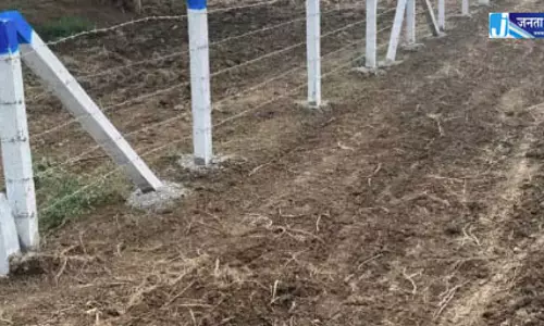 खेत की मेड़ में दौड़ रहा था करंट, युवा किसान की मौत