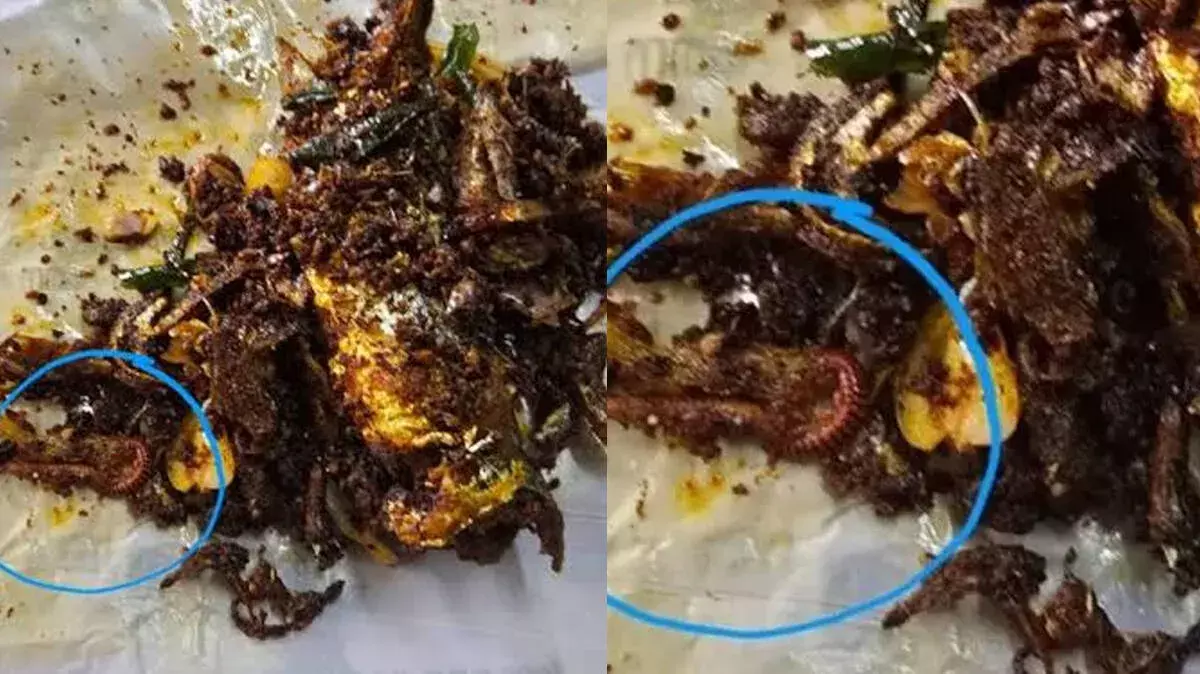 पुलिस कैंटीन से खरीदी गई फिश फ्राई में जोंक मिली; कॉर्पोरेशन ने दुकान बंद कर दी पुलिस कैंटीन से खरीदी गई फिश फ्राई में जोंक मिली; कॉर्पोरेशन ने दुकान बंद कर दी