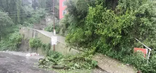Mussoorie: मूसलाधार बारिश से मसूरी बेहाल, सुरकंडा धाम में बड़ा भूस्खलन Mussoorie: मूसलाधार बारिश से मसूरी बेहाल, सुरकंडा धाम में बड़ा भूस्खलन
