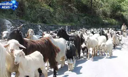 जम्मू-कश्मीर के व्यापारियों को पंजाब का आश्वासन दिया