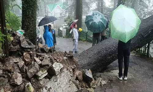शिमला में भारी बारिश से जनजीवन अस्त-व्यस्त; पेड़ गिरने से बनमोर रोड बंद शिमला में भारी बारिश से जनजीवन अस्त-व्यस्त; पेड़ गिरने से बनमोर रोड बंद