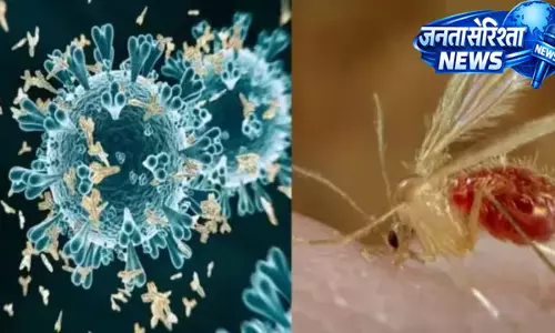 Gujarat : चांदीपुरा वायरस का कहर, 3 बच्चों की मौत Gujarat : चांदीपुरा वायरस का कहर, 3 बच्चों की मौत